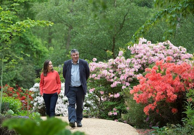 For a prince's wedding, even the greenery has royal roots | iNFOnews.ca For a prince's wedding, even the greenery has royal roots | iNFOnews.ca