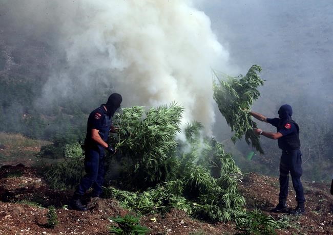 Albanian police find ton of marijuana hidden under house | iNFOnews.ca CP428255391