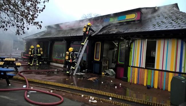 London Zoo reopens after fire that killed meerkats, aardvark | iNFOnews.ca