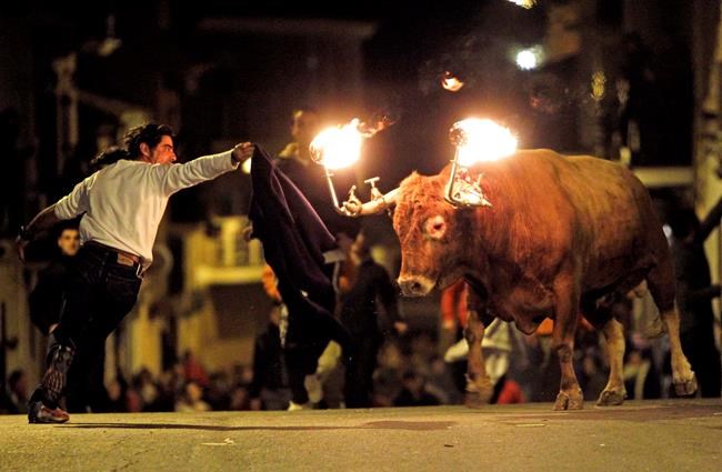 Spain: Valencia bans bull runs featuring flaming horns | iNFOnews.ca CP258280613