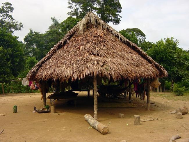 Indigenous Bolivians have some of the healthiest hearts | iNFOnews.ca