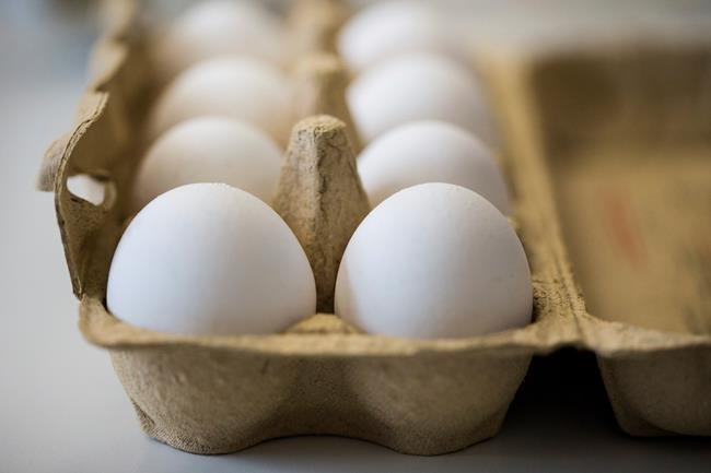 EU: 17 nations get tainted eggs, products in growing scandal | iNFOnews.ca EU: 17 nations get tainted eggs, products in growing scandal | iNFOnews.ca