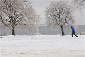 CP26552465