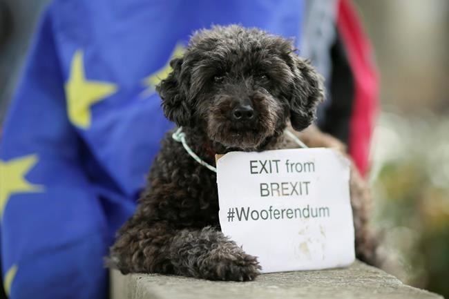 German industry urges breakthrough at Brexit talks | iNFOnews.ca