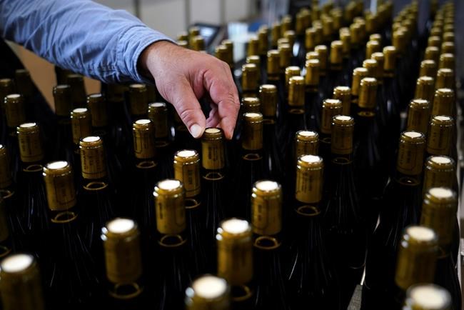 Wine woes: Tariffs, Brexit cloud French Beaujolais season | iNFOnews.ca