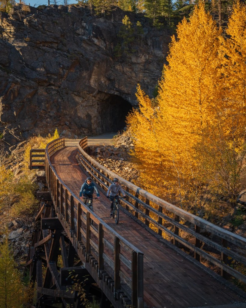 iN PHOTOS: Western larch lights up forests in Kamloops, Okanagan | iNFOnews.ca iN PHOTOS: Western larch lights up forests in Kamloops, Okanagan | iNFOnews.ca