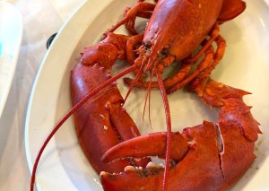 A boiled red lobster is on a plate.