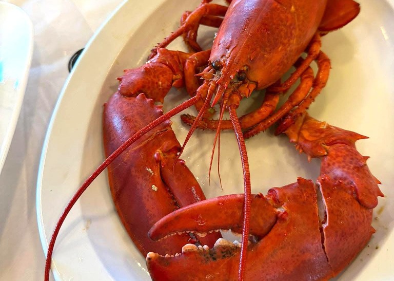 A boiled red lobster is on a plate.
