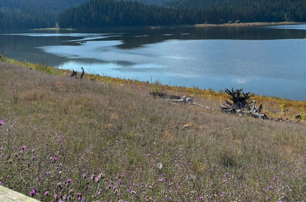 iN PHOTOS: Signs of drought in Okanagan, Kamloops | iNFOnews.ca iN PHOTOS: Signs of drought in Okanagan, Kamloops | iNFOnews.ca