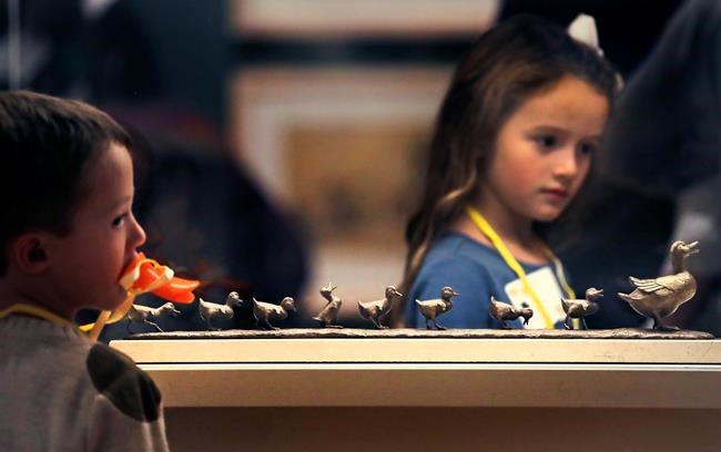 Museum celebrates Boston's favourite ducks with new exhibit | iNFOnews.ca Museum celebrates Boston's favourite ducks with new exhibit | iNFOnews.ca