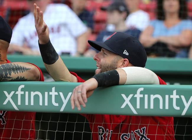 Red Sox 2B Pedroia returns to lineup after knee surgery | iNFOnews.ca