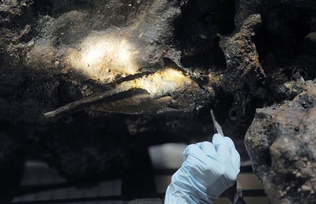Was pirate Black Sam Bellamy found? DNA test could tell | iNFOnews.ca Was pirate Black Sam Bellamy found? DNA test could tell | iNFOnews.ca