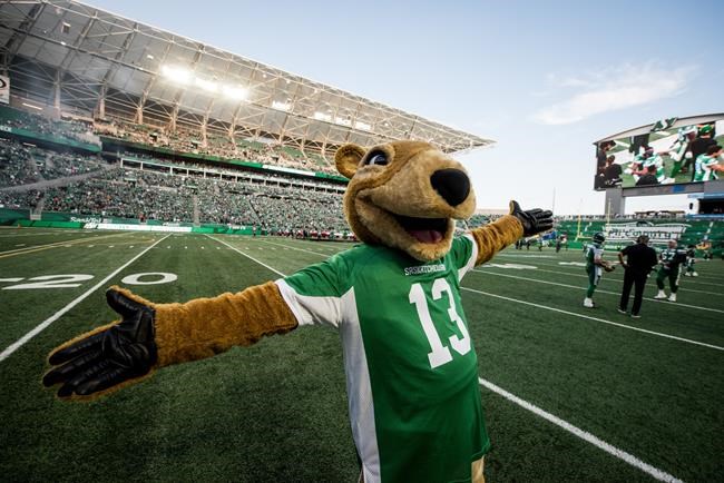 Roughriders' mascot Gainer the Gopher changes look, goes back to what works | iNFOnews.ca