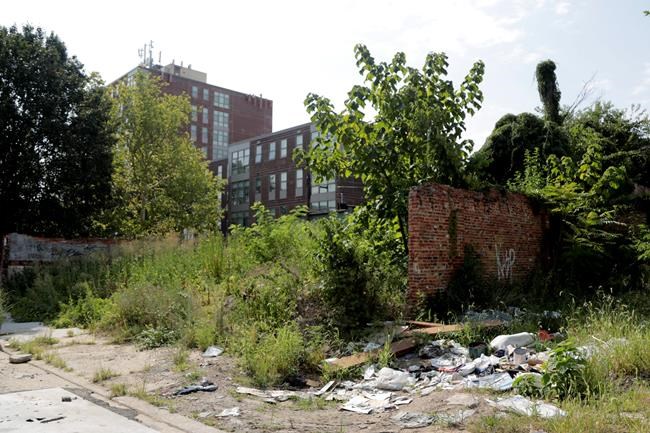 HUD leader Ben Carson compares Baltimore to cancer patient | iNFOnews.ca