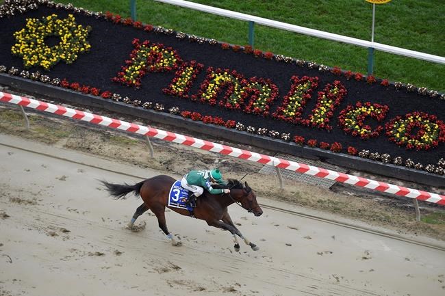 The Latest: Exaggerator wins Preakness | iNFOnews.ca The Latest: Exaggerator wins Preakness | iNFOnews.ca