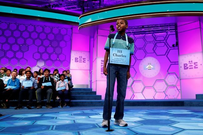 The bell rings twice: Spelling bee competitor gets reprieve | iNFOnews.ca The bell rings twice: Spelling bee competitor gets reprieve | iNFOnews.ca