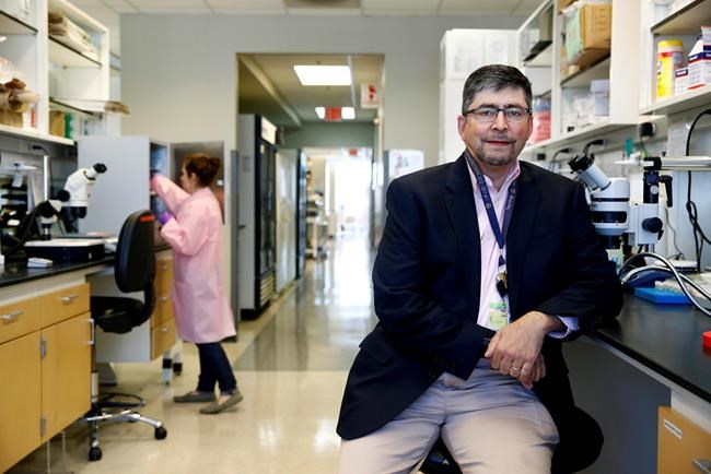 Drug epidemic ensnares 25-year-old pill for nerve pain | iNFOnews.ca Drug epidemic ensnares 25-year-old pill for nerve pain | iNFOnews.ca