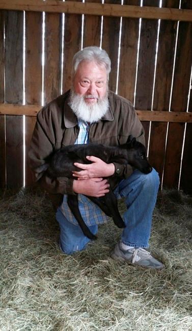 Maine petting zoo is site of first reindeer birth in years | iNFOnews.ca
