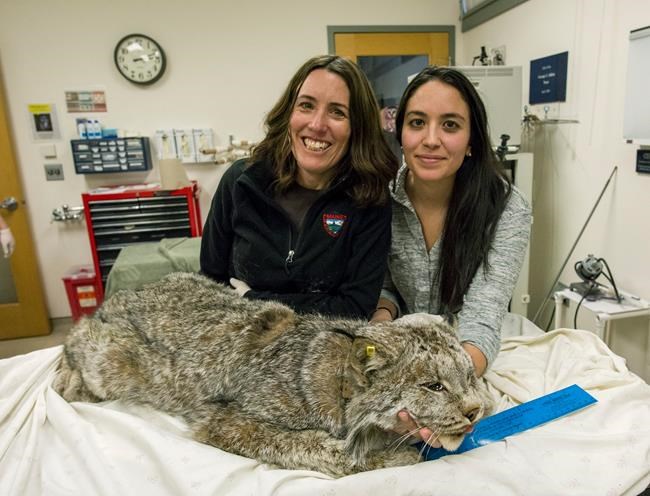 Scientists look to map the genes of thousands of animals | iNFOnews.ca CP1888189587