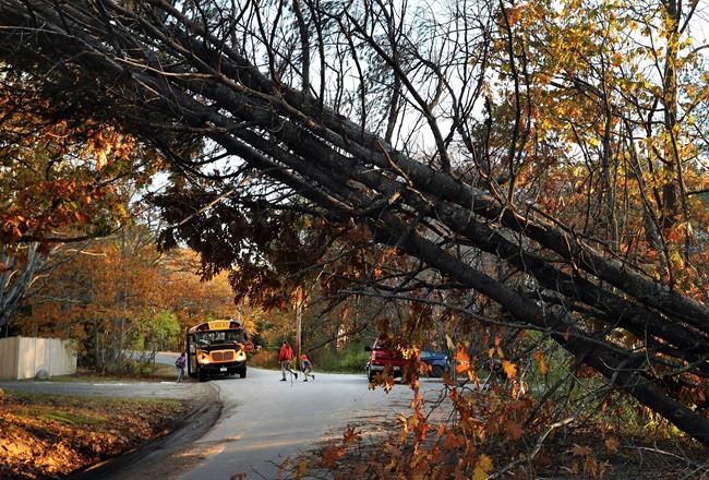 Hundreds of utility crews working in Maine on power outages | iNFOnews.ca Hundreds of utility crews working in Maine on power outages | iNFOnews.ca