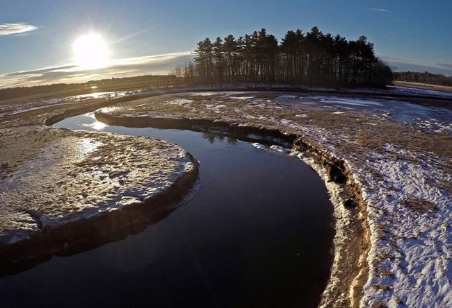 As sea levels rise, vital salt marshes are disappearing | iNFOnews.ca