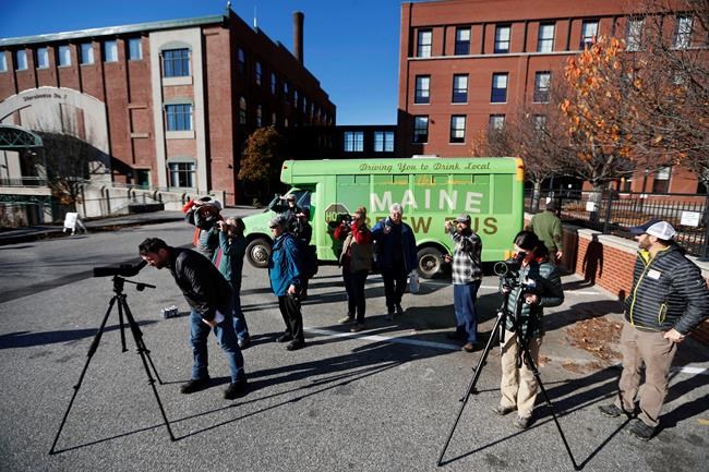 Loons and lager, ducks on draft: Birders, brewers form flock | iNFOnews.ca
