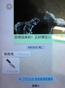 CP9689100