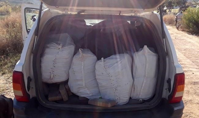 Mexican police find 100 lbs of fentanyl in multi-drug stash | iNFOnews.ca