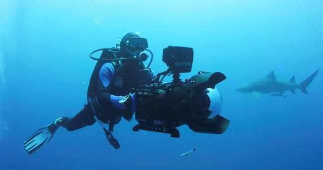 Documentary released 2 years after filmmaker's diving death | iNFOnews.ca Documentary released 2 years after filmmaker's diving death | iNFOnews.ca