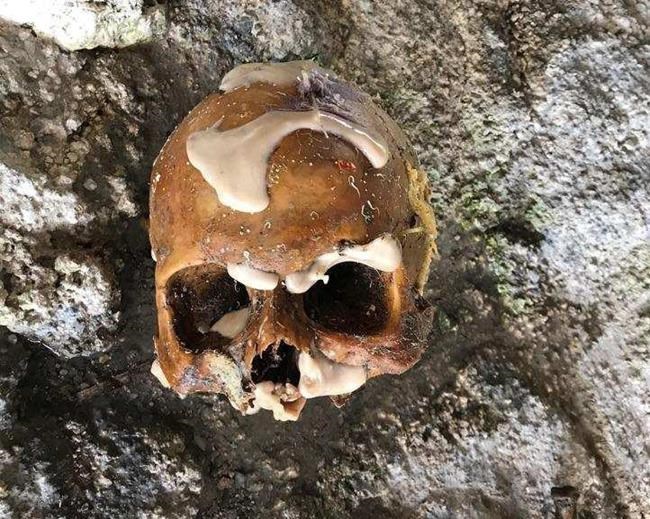 Instead of lobster, Florida fishermen find human bones | iNFOnews.ca Instead of lobster, Florida fishermen find human bones | iNFOnews.ca