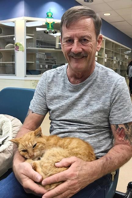 Florida man reunites with pet cat lost 14 years ago | iNFOnews.ca