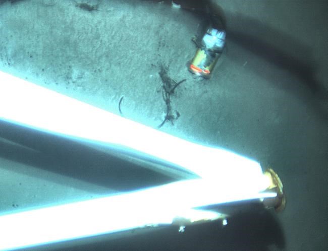 NTSB: Search crews find El Faro's missing data recorder | iNFOnews.ca NTSB: Search crews find El Faro's missing data recorder | iNFOnews.ca