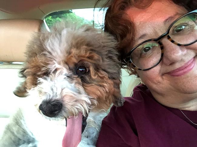 Florida site of school massacre to get a therapy dog | iNFOnews.ca