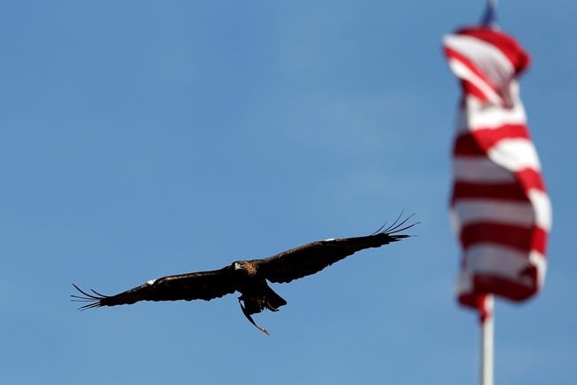 Auburn retiring golden eagle mascot Nova | iNFOnews.ca Auburn retiring golden eagle mascot Nova | iNFOnews.ca