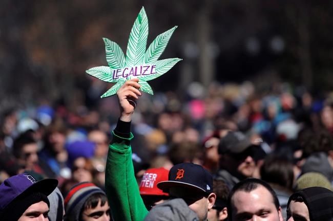 Michigan voters to decide on legalizing recreational pot | iNFOnews.ca