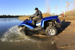 CP20436639