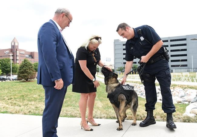 5 Detroit police dogs to wear bullet-resistant vests | iNFOnews.ca