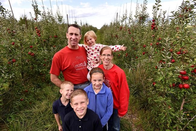 Judge: City wrong to bar farmer over gay marriage views | iNFOnews.ca Judge: City wrong to bar farmer over gay marriage views | iNFOnews.ca