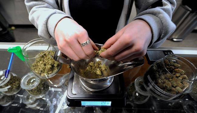 Ohio won't hit Sept. 8 deadline for medical marijuana | iNFOnews.ca Ohio won't hit Sept. 8 deadline for medical marijuana | iNFOnews.ca