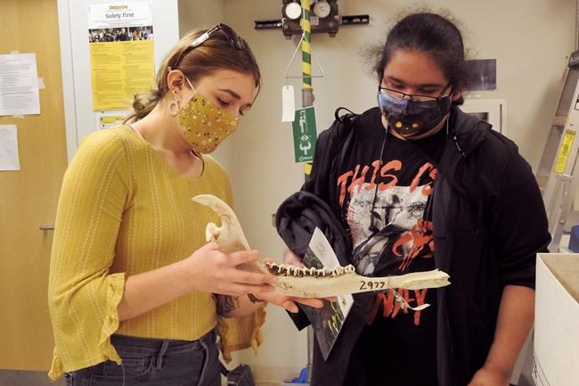 Students visit Michigan Tech in internship program | iNFOnews.ca