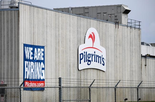 Pilgrim's Pride reaches plea deal on chicken price-fixing | iNFOnews.ca
