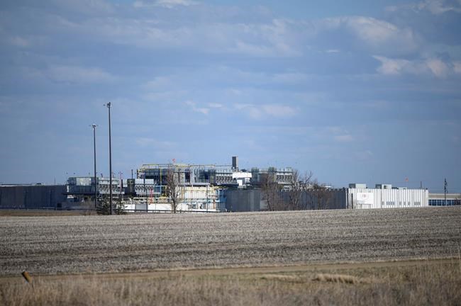 States work to keep meat plants open despite virus outbreaks | iNFOnews.ca CP1735369486