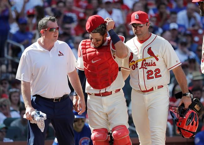 Cards' Molina has surgery, out 1 month after hit in groin | iNFOnews.ca