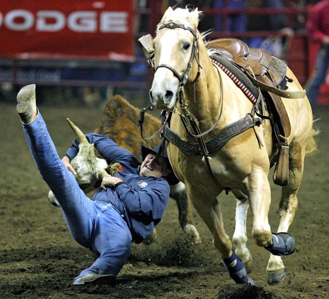 Missouri's American Royal horse exhibition moving to Kansas | iNFOnews.ca