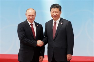 CP28447752