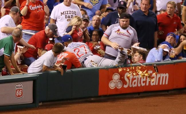 'Nacho man' relates Cub's collision with snacks in St. Louis | iNFOnews.ca