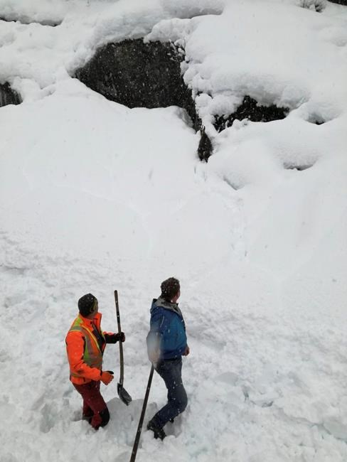 Austrian train workers rescue wild goat buried in snowdrift | iNFOnews.ca