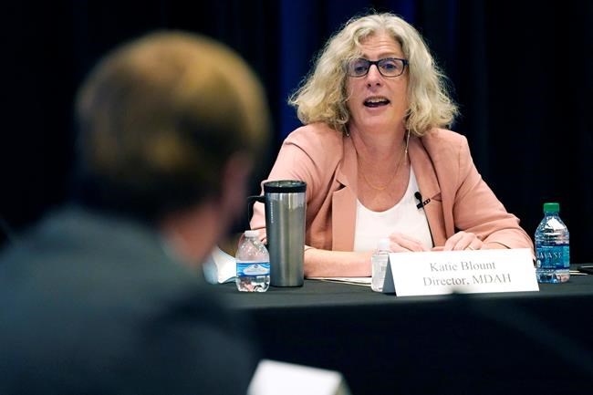 Final 2 Mississippi flag proposals: Shield vs. magnolia | iNFOnews.ca