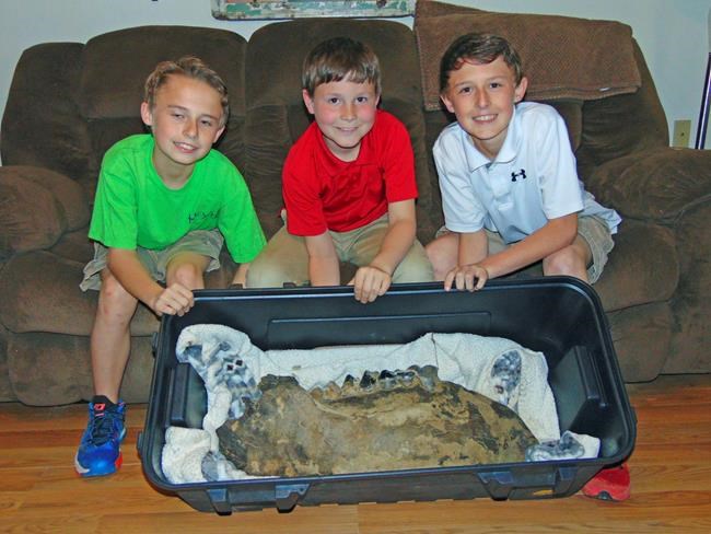 3 boys in Mississippi find part of mastodon jawbone | iNFOnews.ca