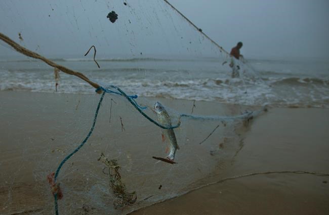 Indian fishermen try new nets for healthier oceans | iNFOnews.ca Indian fishermen try new nets for healthier oceans | iNFOnews.ca